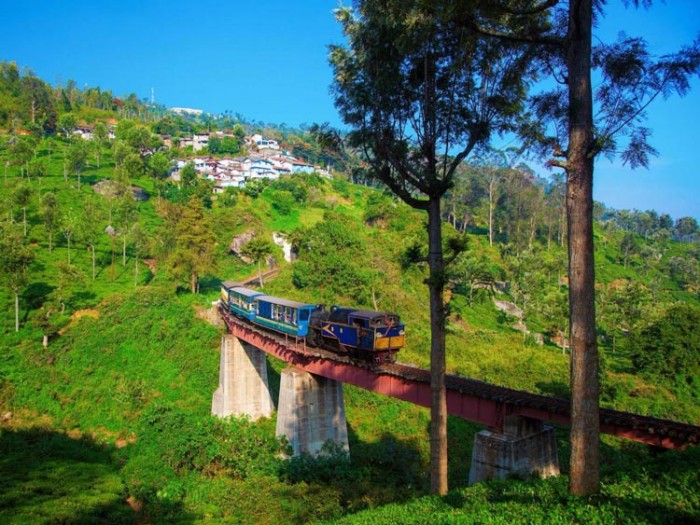 ریل کوهستانی نیلگیری عکس‌هایی چشم‌نواز و زیبا که بیننده را به بازدید از هندوستان ترغیب می‌کنند عکس‌هایی چشم‌نواز و زیبا که بیننده را به بازدید از هندوستان ترغیب می‌کنند 19 nilgiri mountain rail