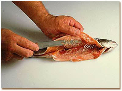 خواص ماهی از موارد و خواص ماهی چه میدانید؟ از موارد و خواص ماهی چه میدانید؟